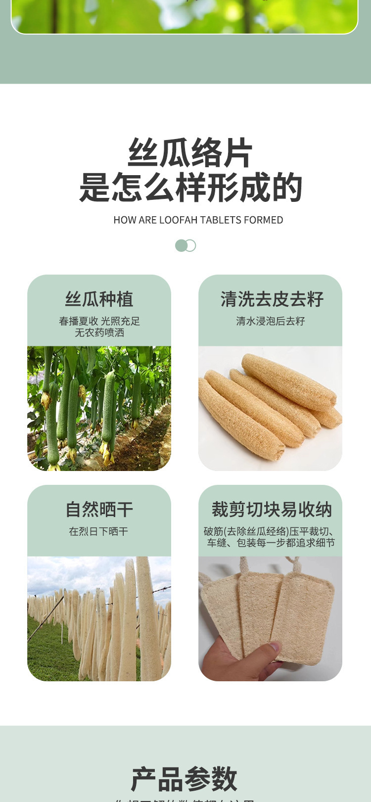 丝瓜络抹布刷锅刷碗家用厨房家务清洁百洁布天然丝瓜瓤洗锅刷工具