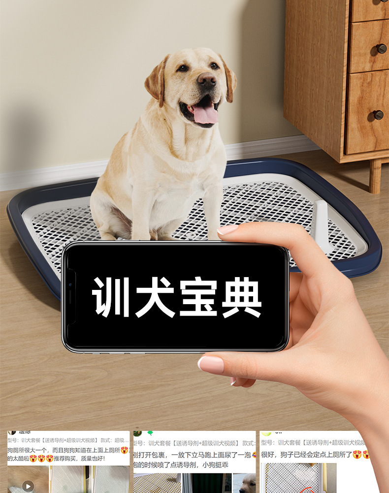 狗厕所超大号小中大型犬平板高围栏防外溅狗狗尿盆送立柱厂家批发