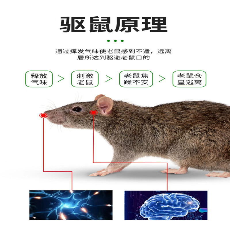 冰晶花虫鼠驱避丸驱鼠丸16克40克樟脑丸驱虫防鼠户外室内蟑螂蜈蚣