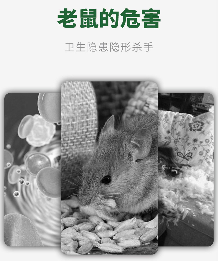 冰晶花虫鼠驱避丸驱鼠丸16克40克樟脑丸驱虫防鼠户外室内蟑螂蜈蚣