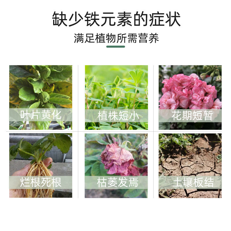 硫酸亚铁花肥水溶肥盆栽植物叶面氮磷钾化肥家用颗粒肥农用种菜