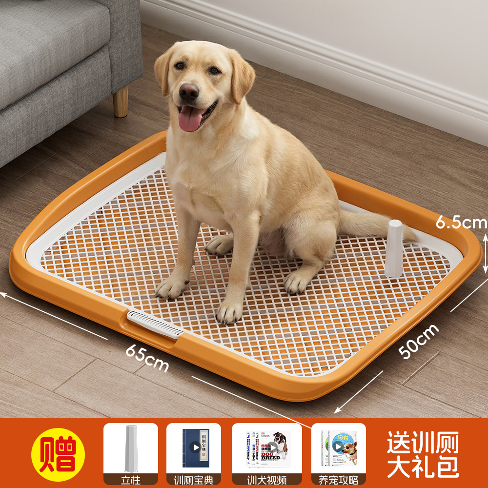 Flat oversized orange 65 * 50 * 6.5cm + send column